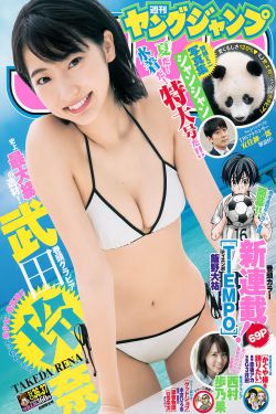 完美世界免费樱花动漫